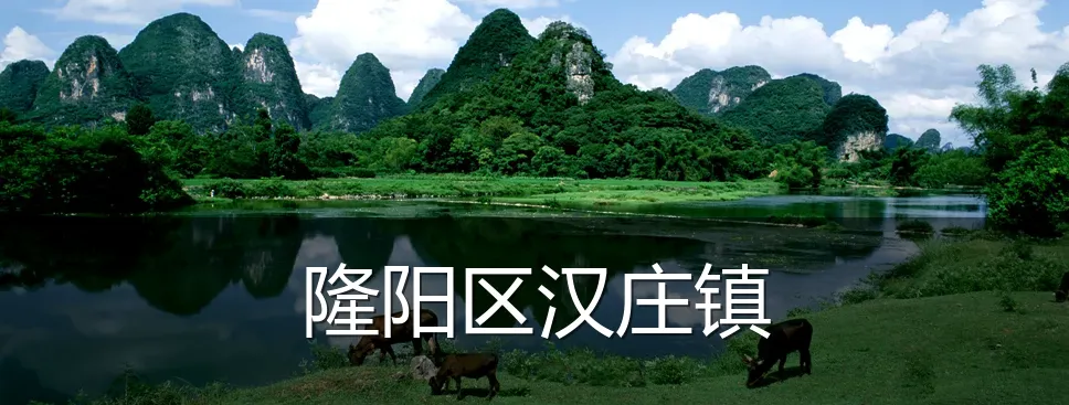 隆阳区汉庄镇