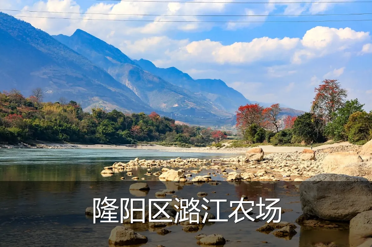 隆阳区潞江农场