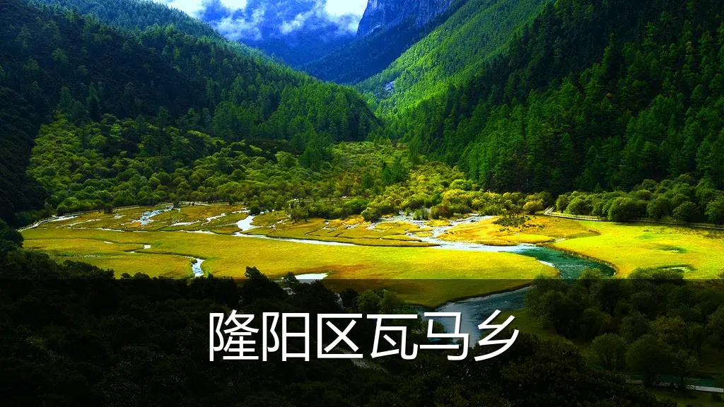 隆阳区瓦马乡