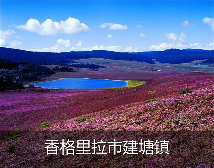 香格里拉市建塘镇