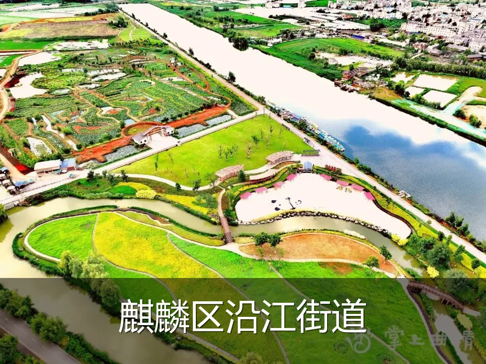 麒麟区沿江街道
