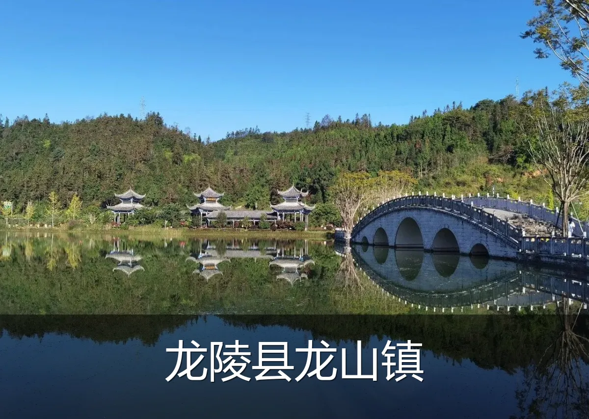 龙陵县龙山镇
